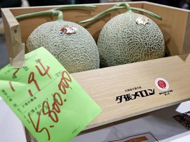 일본 홋카이도 삿포로 중앙도매시장에서 열린 올해 첫 경매에서 역대 최고가인 580만엔(한화 약 5500만원)에 낙찰된 유바리 멜론 두 개. AFP연합뉴스