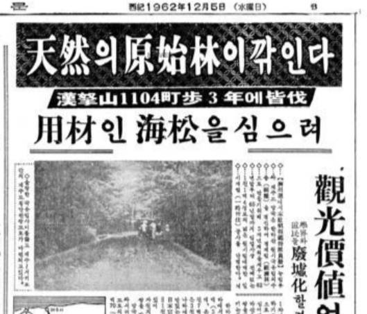 경향신문 1962년 12월5일자 7면에 실린 고인이 쓴 기사 [네이버 뉴스라이브러리 캡처]