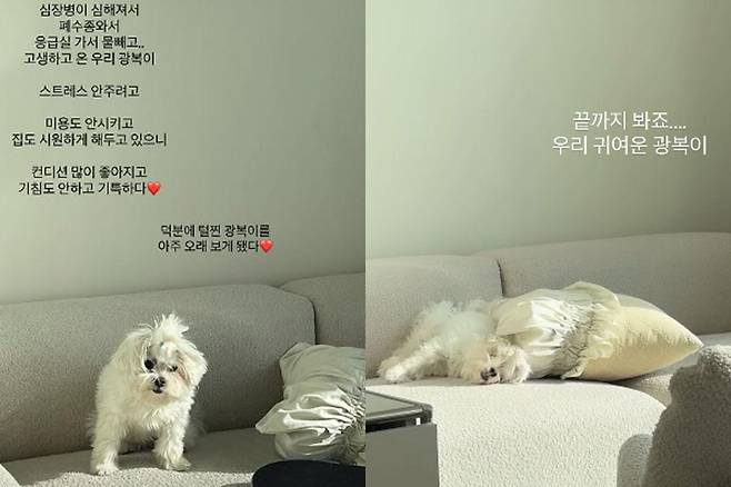 출처:이솔이