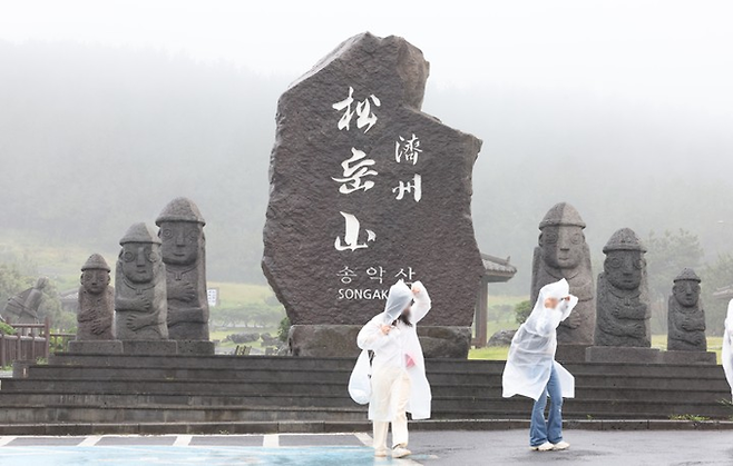 비바람이 몰아친 26일 제주 서귀포시 대정읍 송악산을 찾은 관광객이 비옷을 입고 이동하고 있다.  [연합뉴스]