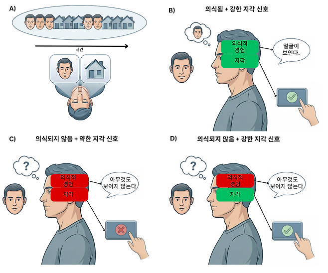 의식 연구에서 ‘지각’과 ‘의식적 경험’이 혼동될 수 있음을 보여주는 모식도.[IBS 제공]