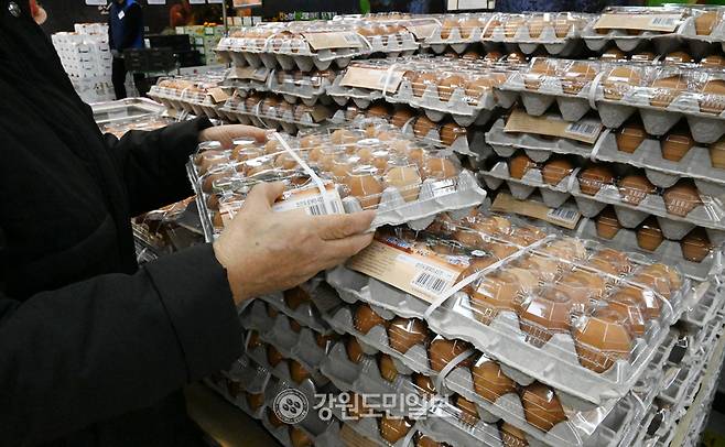 ▲ 강원도민일보 자료 사진