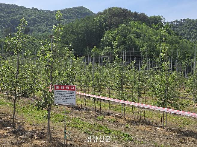 과수화상병 확진판정을 받은 충북 청주시 상당구 계원리 한 사과나무 과수원에 지난 24일 출입금지 팻말이 붙어 있다. 이삭 기자.