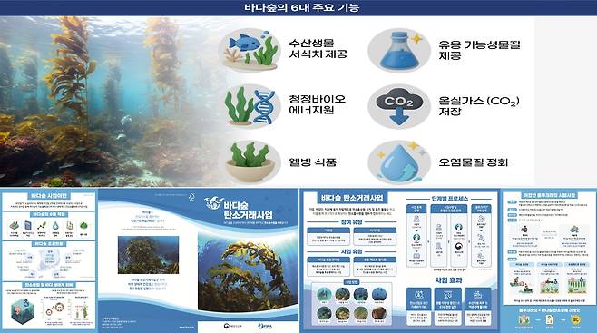 바다숲의 6대 주요 기능(위)과 바다숲 탄소거래 사업(아래)  [한국수산자원공단 제공]