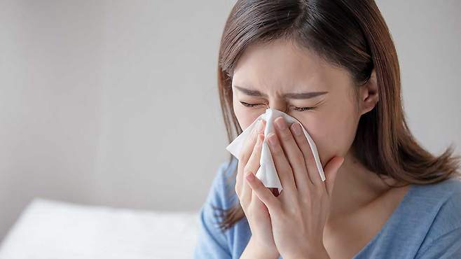 환절기만 되면 반복되는 콧물·재채기... 감기일까, 알레르기일까?｜출처: 클립아트코리아