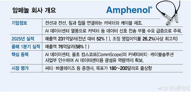 암페놀 회사 개요/그래픽=김다나