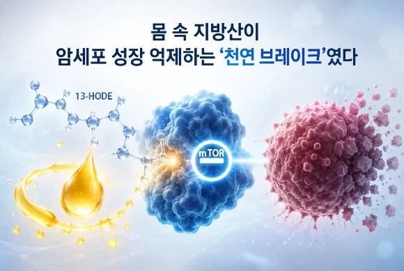 지방산이 암세포 성장을 억제하는 ‘천연 브레이크’ 역할을 하는 것으로 파악됐다. [사진=KAIST]