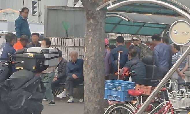 지난 5월 29일 대구 남구 서부정류장 내 한 벤치에서 60∼70대 10여명이 겹겹이 둘러싸고 도박을 구경하고 있다.