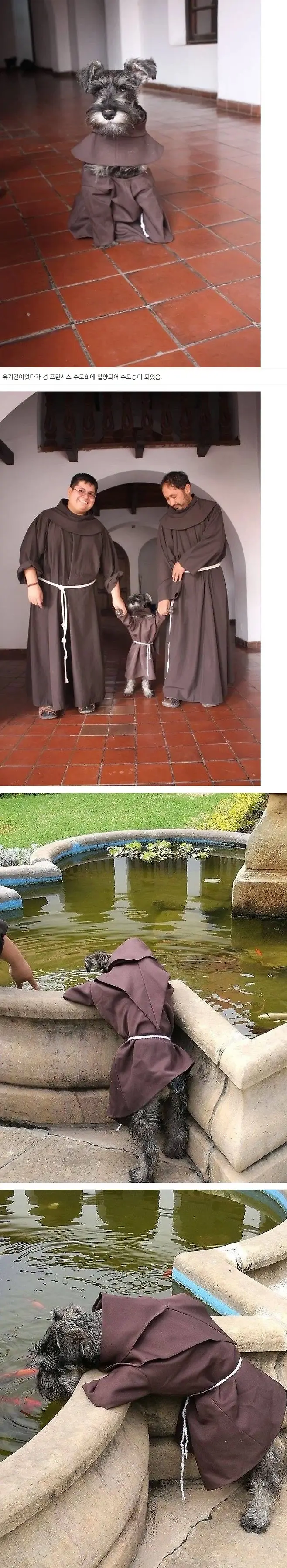 123.JPG