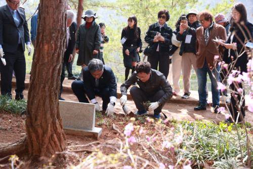 지난 4월 허민 국가유산청장과 전대복 영월부군수가 영월 장릉에서 남양주 사릉에서 옮겨온 들꽃을 심고 있는 모. 강원일보 DB