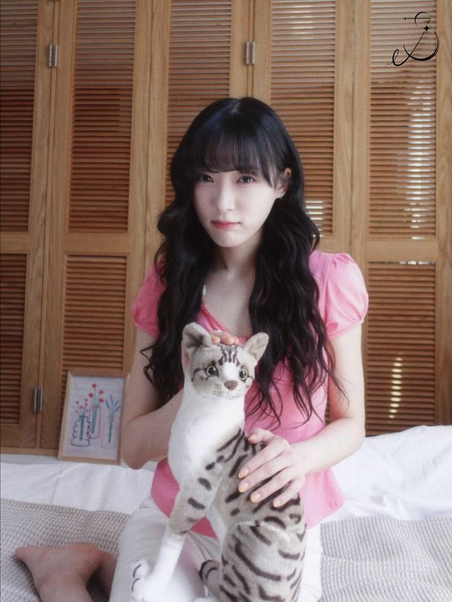 (사진=에어글로벌캐슬)