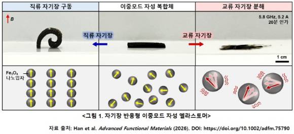 자기장 반응형 이중모드 자성 엘라스토머에 대한 구동 원리를 표현한 그림. [사진=서울대 공대]