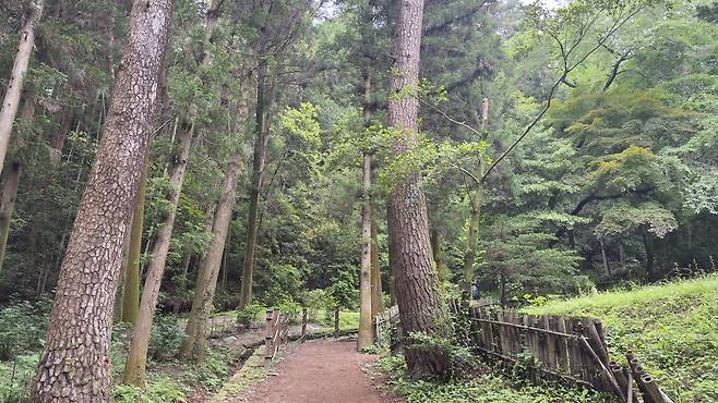 The trail to Dasan Chodang [WOO JI-WON]