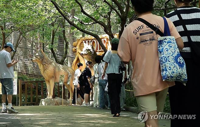 늑구앓이 (대전=연합뉴스) 이재림 기자 = 5일 대전 중구 대전 오월드 늑대 사파리 앞에서 오월드 방문객들이 늑대' 늑구'를 찾고 있다. 지난 4월 늑구 탈출 사태 여파로 운영을 중단했던 오월드는 시설 보완을 마치고 이날 약 두 달 만에 재개장했다. 2026.6.5 walden@yna.co.kr