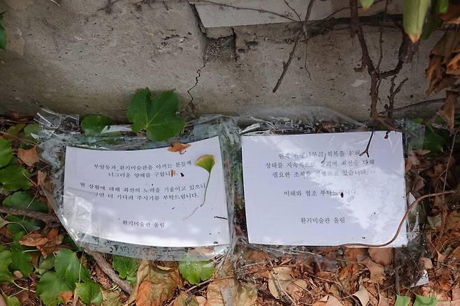 2026년 6월1일 환기미술관이 주입한 제초제에 피해를 입은 은행나무 아래 환기미술관이 ‘너그러운 양해를 구합니다’라고 안내문을 게시했다. 김양진 기자