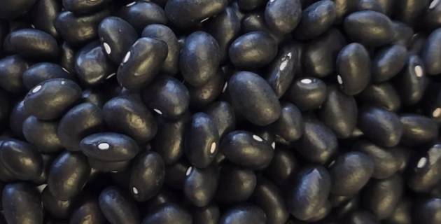 검은콩. [사진=Western Harvest Bean]