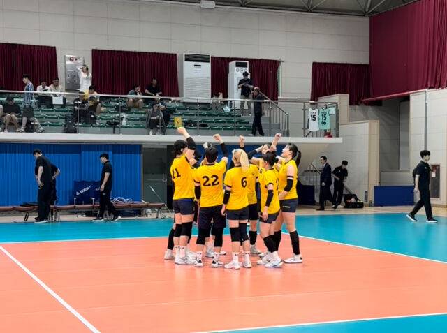현대건설이 7일 단양문화체육센터에서 열린 2026 한국실업배구연맹&프로배구 퓨처스 대회 조별리그 B조 대구광역시청전을 앞두고 파이팅을 외치고 있다./현대건설 SNS 캡처