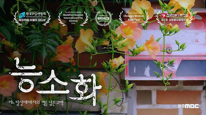원주MBC 특집 다큐멘터리 '능소화'. /원주MBC 제공