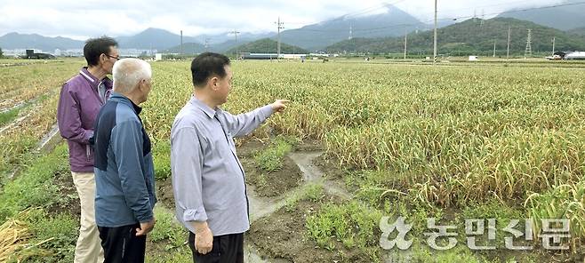 농민 김갑용씨(오른쪽)가 대구 달성군 구지면 고봉리 자신의 농지에서 터무니없이 높은 공시지가로 불이익을 받고 있다며 대책 마련을 호소하고 있다.