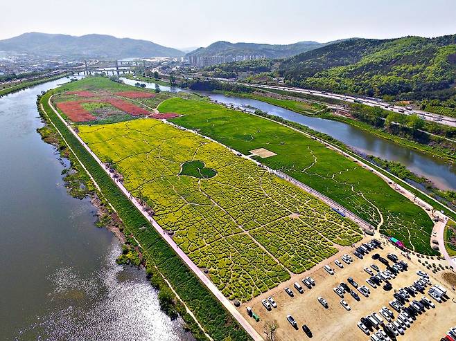 ©대구문화예술진흥원