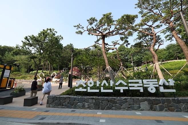 초안산 수국동산 [노원구 제공. 재판매 및 DB 금지]