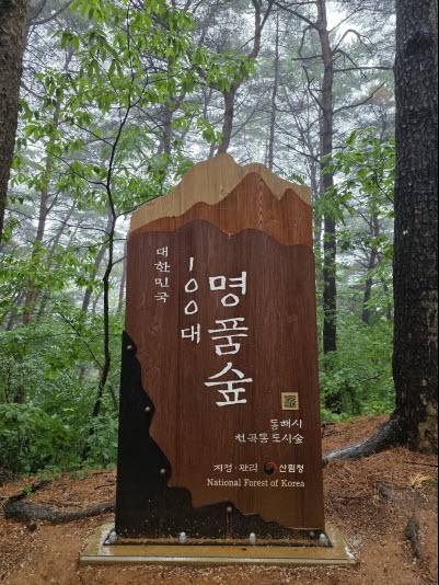 강원 동해시 천곡동 도시숲 입구에 설치된 대한민국 100대 명품숲 입간판. (사진=박진환 기자)