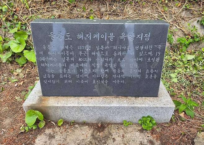 7일 경북 울릉군 울릉읍에 세워져 있는 해저케이블 육양지 비석.