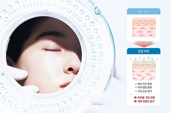 촘촘하고 치밀한 구조의 일반 피부 장벽과 달리, 민감 피부의 장벽은 지질 구조의 빈틈이 많아 외부 자극에 더욱 취약하다. /사진=에스트라 제공, 그래픽=김민선