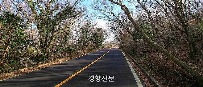 한라산을 횡단해 제주시와 서귀포시를 연결하는 5·16로. 제주관광공사 제공