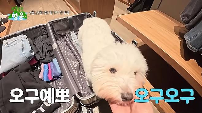 /사진=영상 캡처