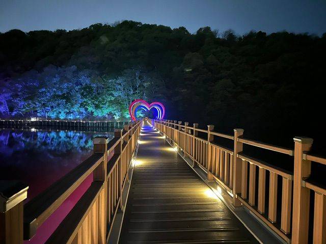 야간 경관 조명이 조성된 공릉호수 관광지의 모습ⓒ