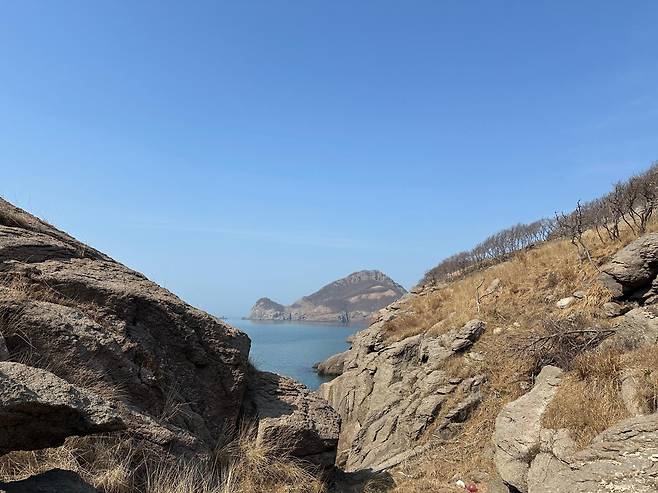 인천 옹진군 굴업도. 굴업도에 서식하는 꽃사슴 개체수는 지난해 기준 178마리로 조사됐다. 성민규 생명다양성재단 연구원 제공