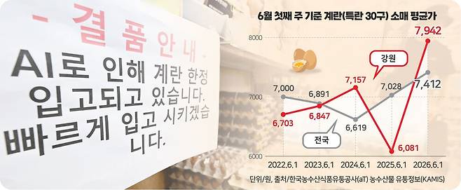 ▲ 조류독감 확산에 따른 산란계 대규모 살처분 여파로 달걀 공급 절벽이 현실화되고 있는 가운데 강원도의 한 대형마트에 달걀 한정입고를 알리는 안내문이 붙어 있다. 방도겸·한규빛 기자