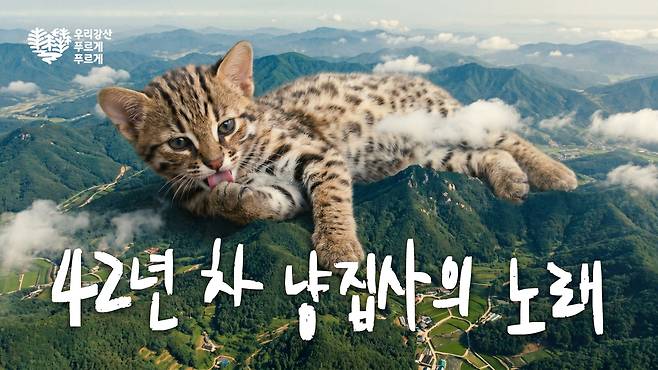 '우리강산 푸르게 푸르게' 삵 편 섬네일 [유한킴벌리 제공. 재판매 및 DB 금지]