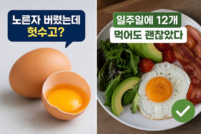 달걀은 단백질과 콜린, 비타민 등을 함유한 영양식품이다. 최근 연구에서는 달걀 섭취 자체보다 조리법과 함께 먹는 식품이 혈관 건강에 더 큰 영향을 미치는 것으로 나타났다. AI 생성 이미지.