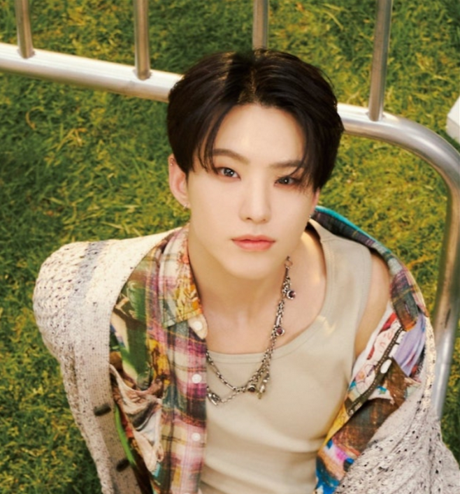 세븐틴 호시