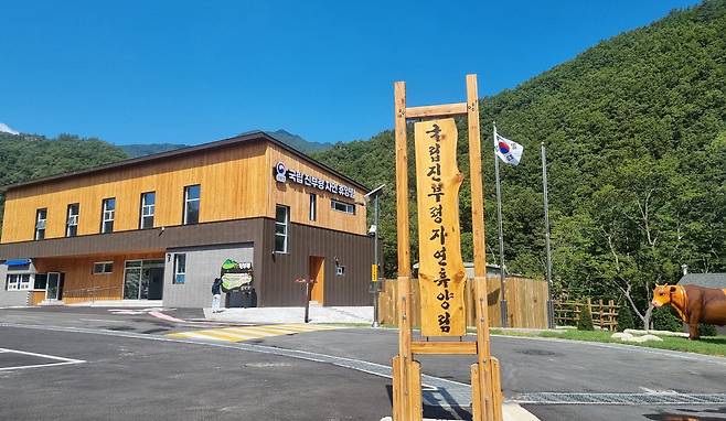 가장 선호하는 휴양림으로 꼽힌 진부령자연휴양림은 지난 11일 개장한 신규 휴양림이다. 사진 국립자연휴양림관리소