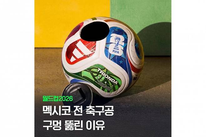 씨즈 제공
