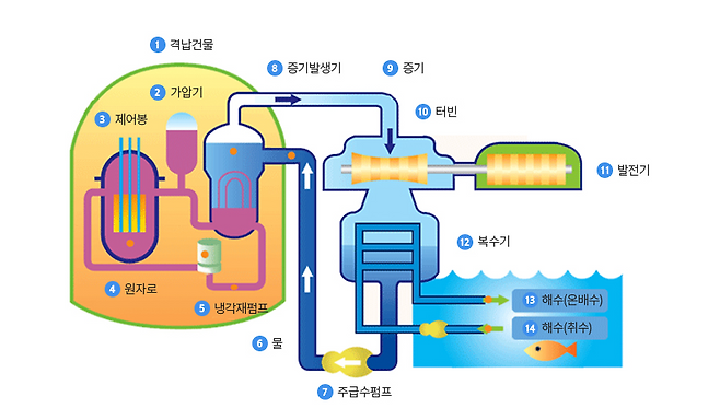 원자력발전 개념도. 한전원자력연료 누리집