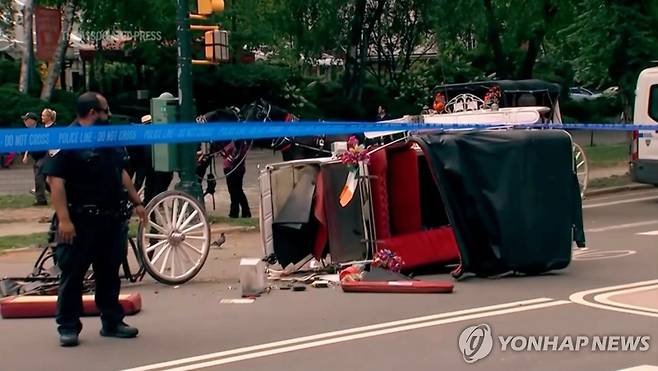 지난 17일(현지시간) 미국 뉴욕 센트럴파크에서 발생한 사고 현장 [AP=연합뉴스 자료사진. 재판매 및 DB 금지]
