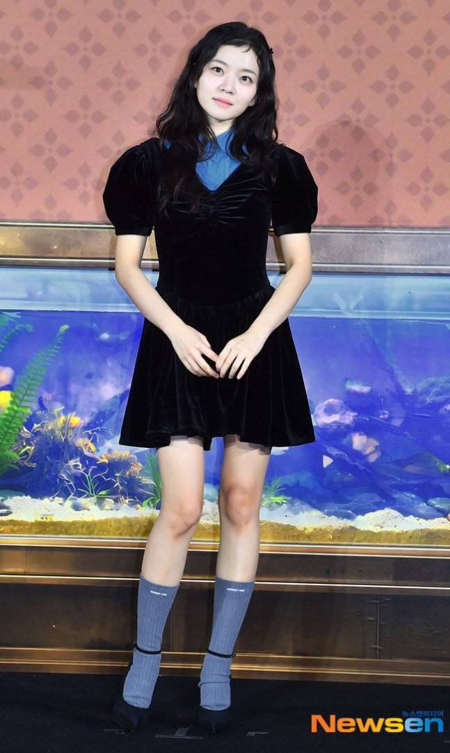 뉴스엔DB
