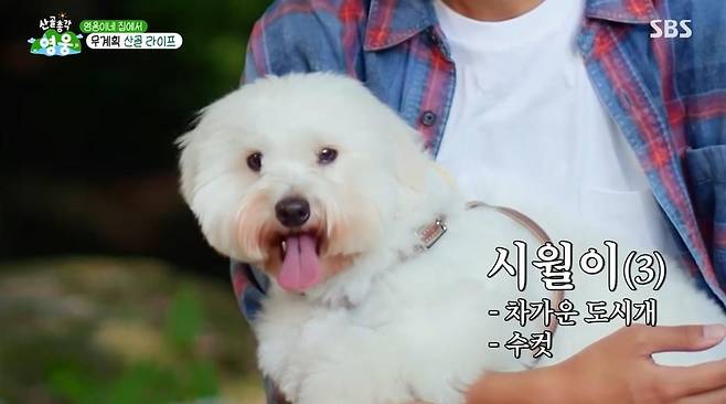 출처:SBS '산골총각 영웅'