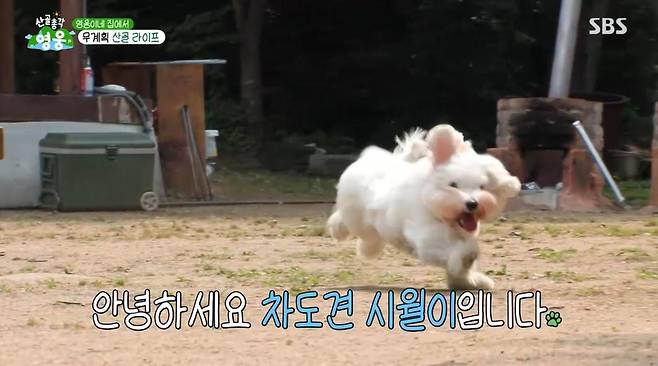 출처:SBS '산골총각 영웅'
