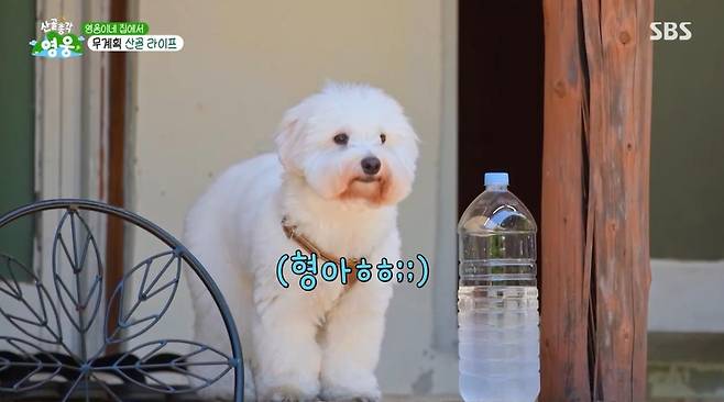 출처:SBS '산골총각 영웅'
