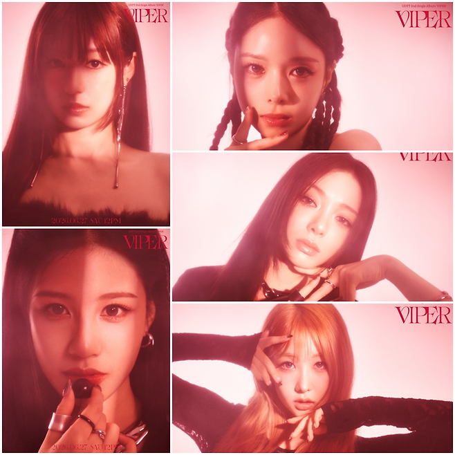 Girl group UDTT has officially begun their comeback activities by releasing concept photos for their second single album, VIPER. In the newly released photos, the members are dressed in all-black outfits, showcasing an intense and mature charm that has heightened anticipation for the new song.UDTT sequentially unveiled group and individual concept photos via their official social media channels on the 23rd. Transforming into sophisticated all-black styles under red lighting, the members captivated attention by exuding a unique aura distinct from their previous youthful image.This new song, VIPER, is set to serve as a significant turning point signaling UDTTs entry into the global market. UDTT plans to reach music fans worldwide in collaboration with Universal Music, and through this activity, they are expected to further solidify their global fandom.UDTTs second single album, VIPER, will be officially released on the 27th at 12:00 PM.