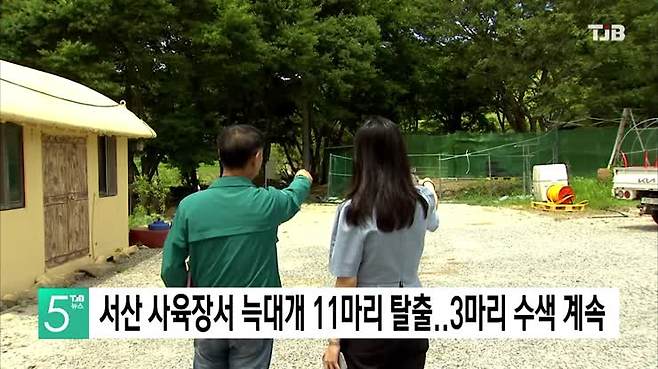 서산 사육장서 늑대개 11마리 탈출..3마리 수색 계속