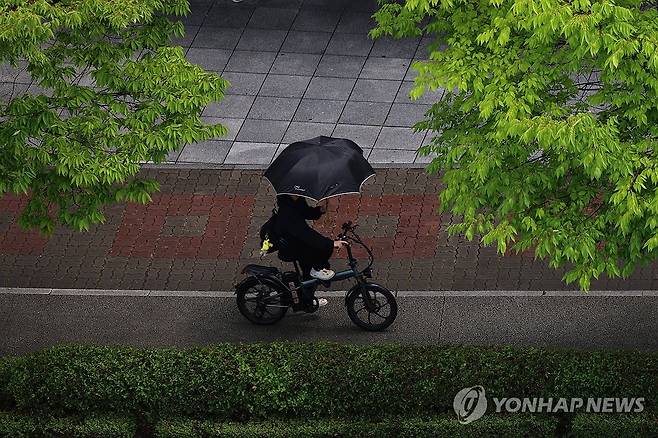 갑자기 소나기 (전주=연합뉴스) 정경재 기자 = 14일 소나기가 내린 전북 전주시 완산구 효자동에서 자전거를 탄 시민이 우산을 쓰고 있다. 2026.6.14 jaya@yna.co.kr