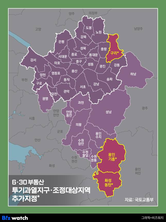 규제지역 투기과열지구 조정대상지역 추가지정 /그래픽=비즈워치