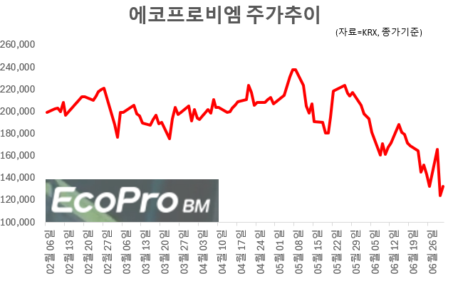 1일 한국거래소(KRX)에 따르면 오후 1시1분 현재 에코프로비엠은 전 거래일 대비 7.09%(1만100원) 내린 13만2400원에 거래되고 있다. 그래픽=임성영 기자