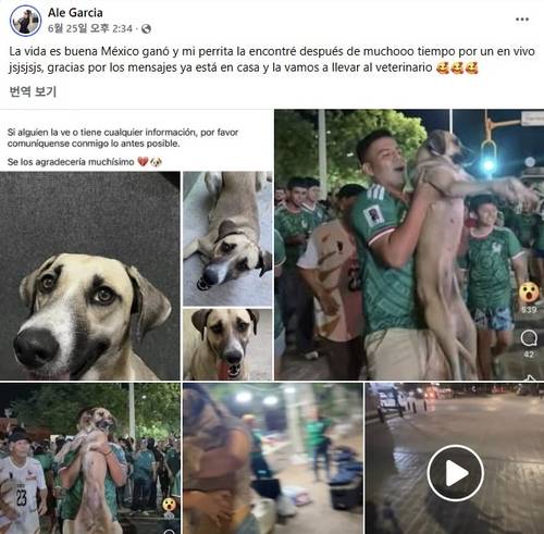 월드컵 거리 응원 영상으로 반려견을 되찾은 알레 가르시아 [알레 가르시아 페이스북 화면 캡쳐]